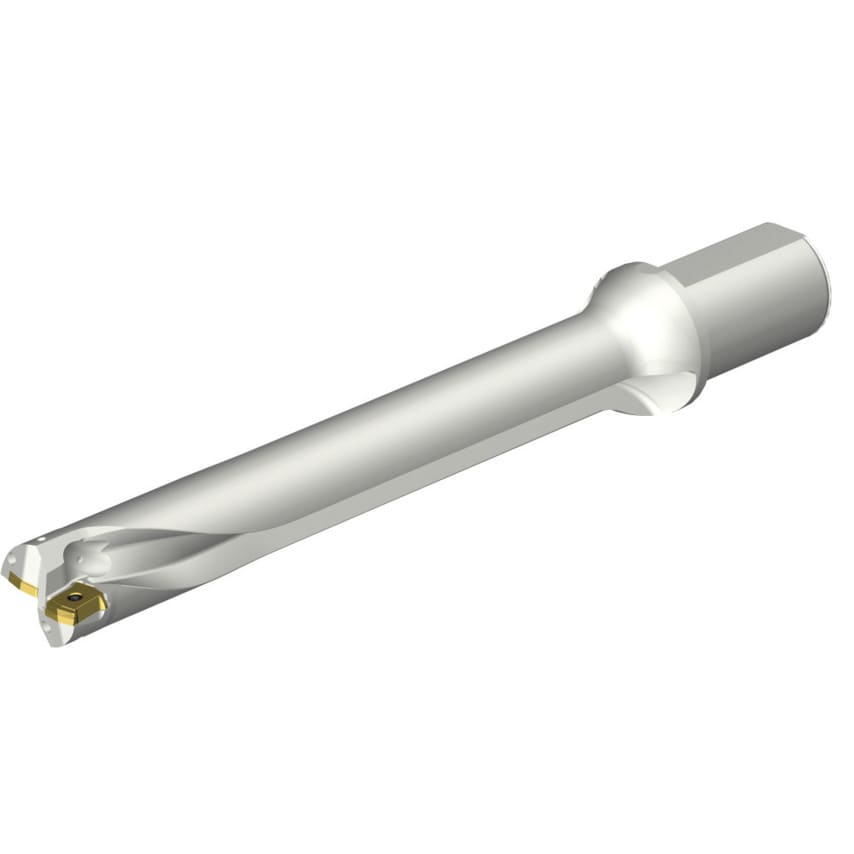 DS20-D4200L50-07 DS20 Indexable Insert Drill