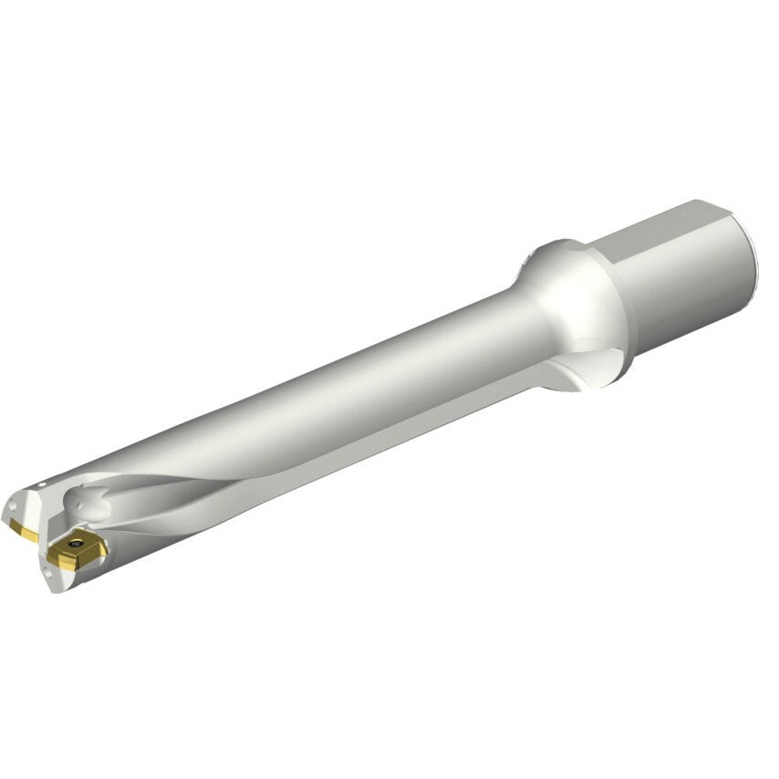 DS20-D4300L50-06 DS20 Indexable Insert Drill