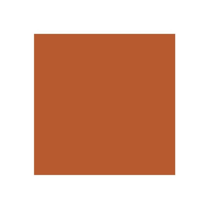 Direct to Metal Paint Copper Gloss 250ml RSLDTMCG250