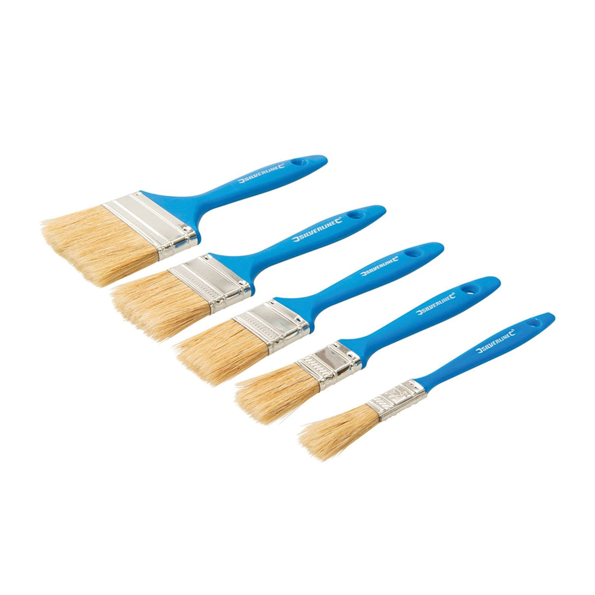 Disposable Paint Brush Set 5 Piece