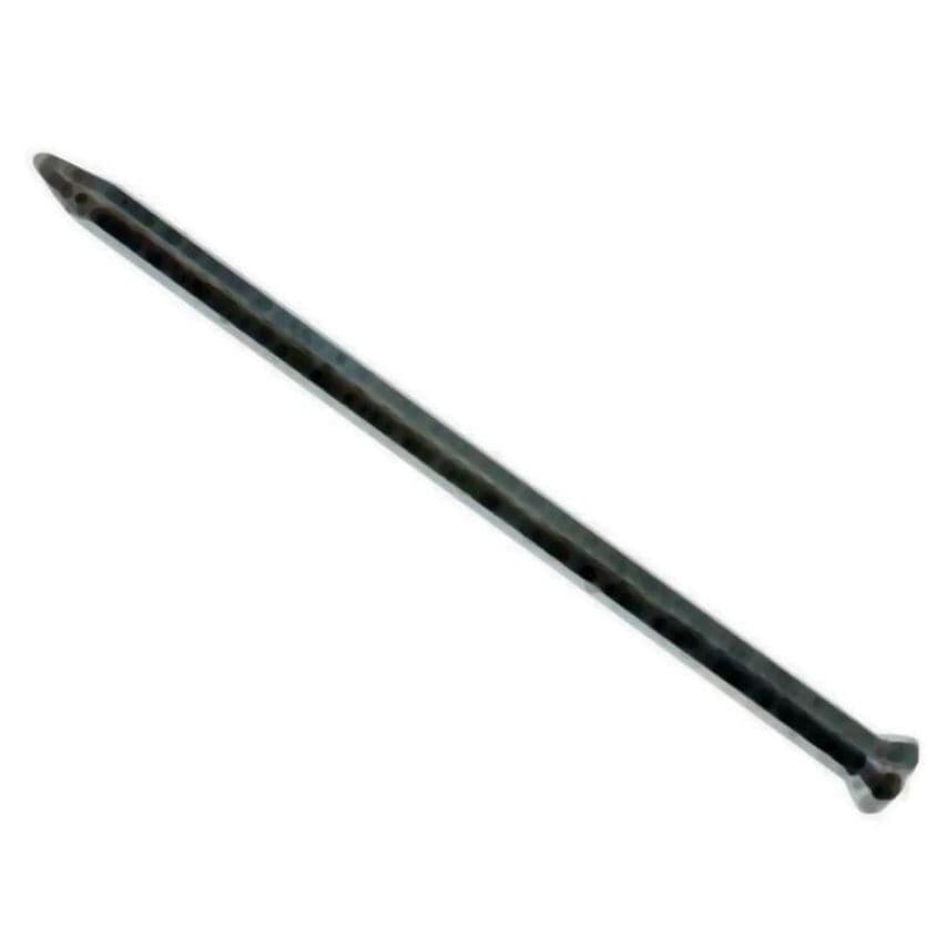 Don Quichotte Light Gauge Masonry Nail, Zinc Galv.2.5 x 30mm (Box 100) FORDMN2530