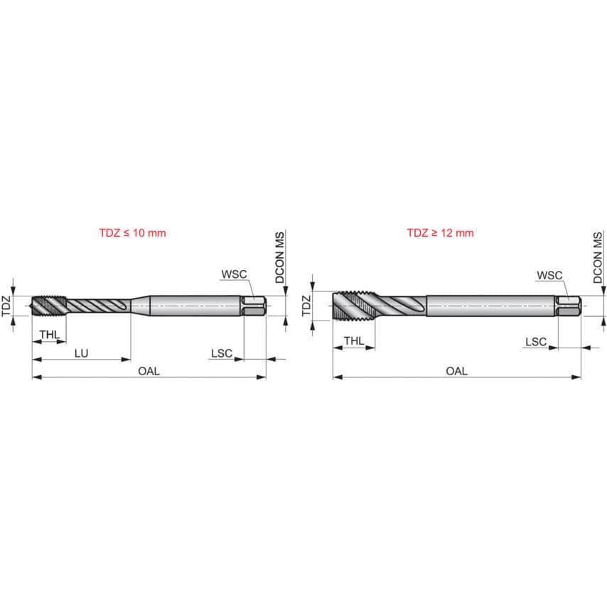 EX00 M56x5.50 6H HSS-XS1SP/FL Machine Tap