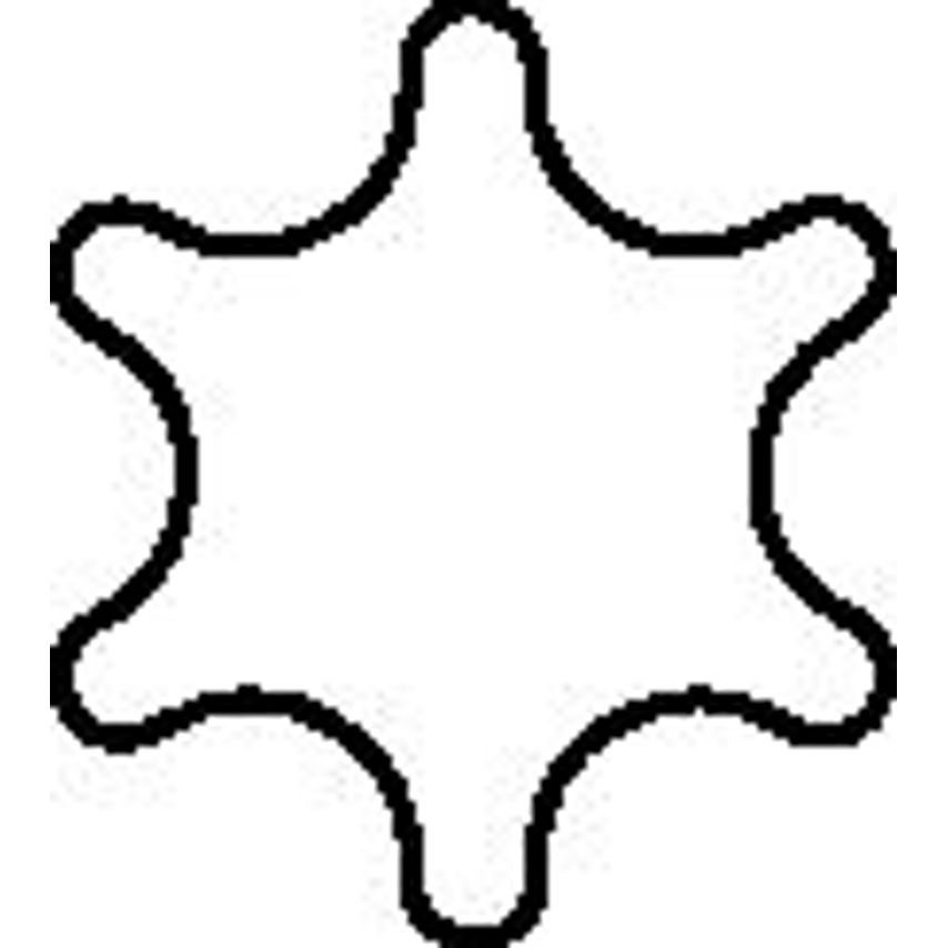 FT10 Torx Wrench TX10 - 1099651