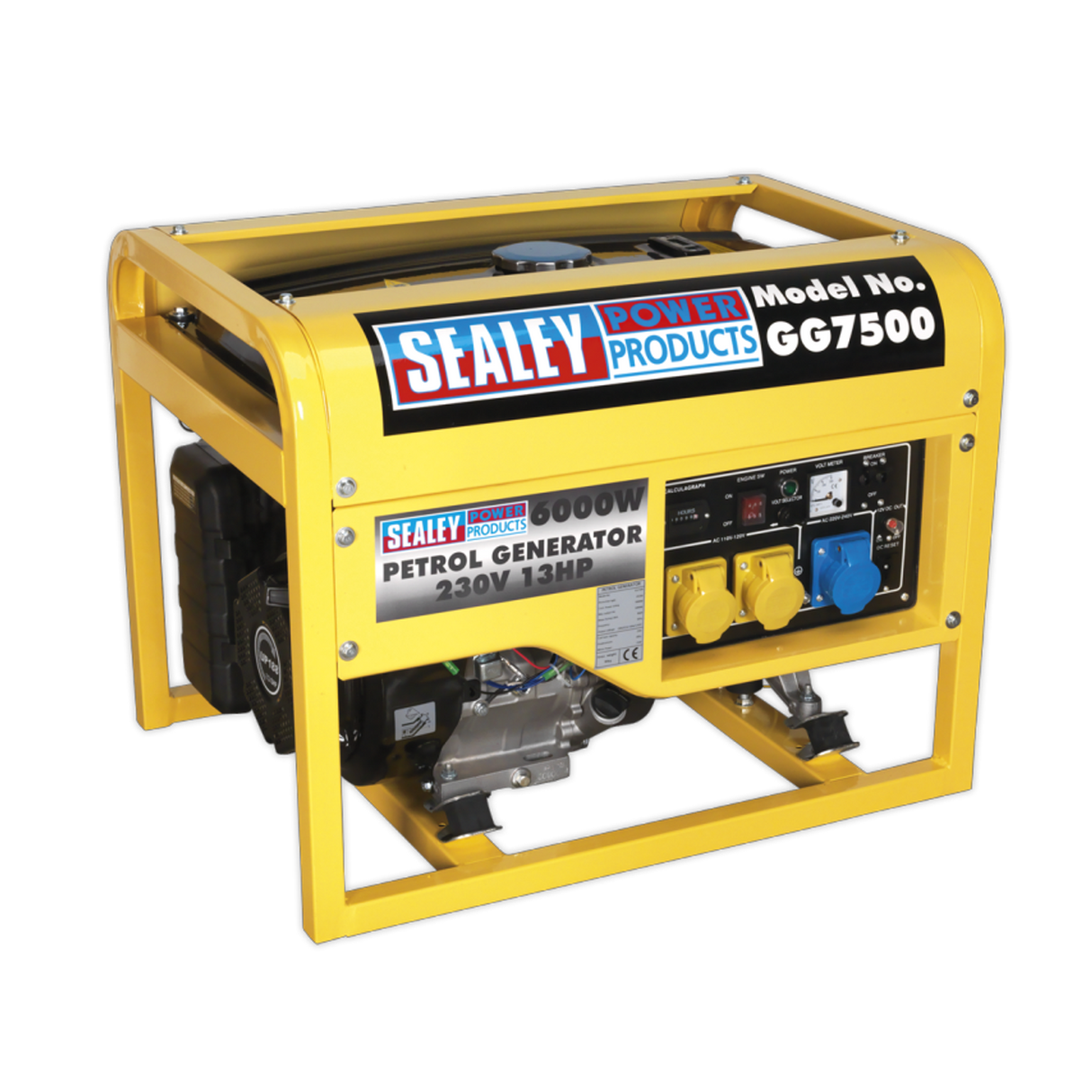 Generator 6000W 110/230V 13HP