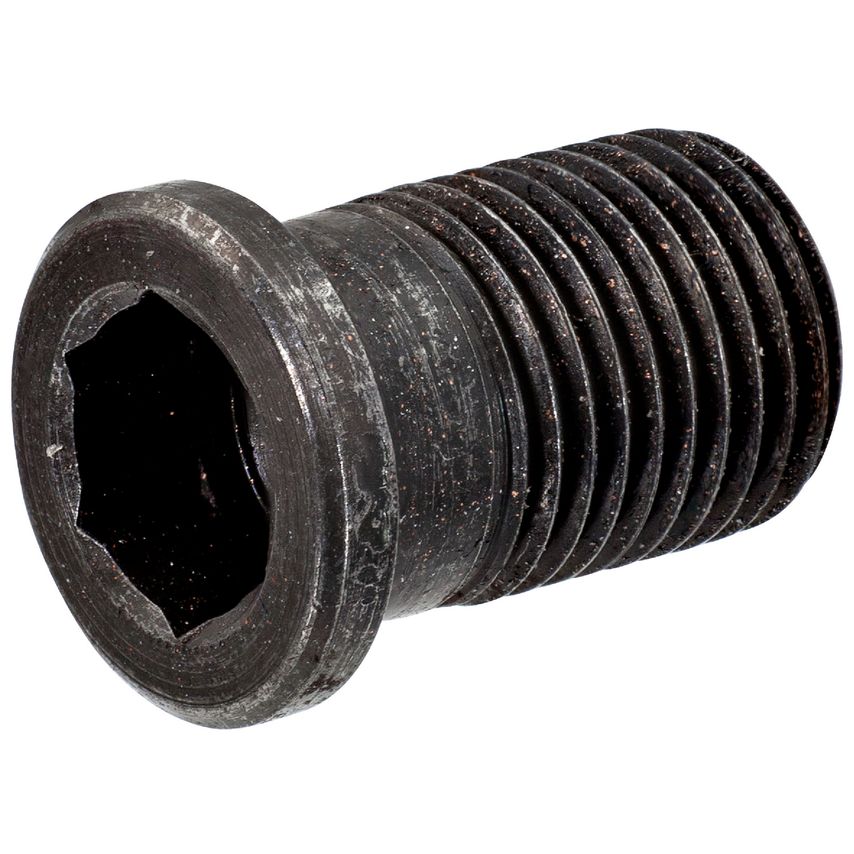 Hollow Screw 5512090-09