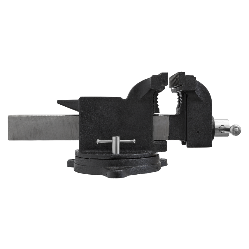 Industrial Vice 150mm SG Iron