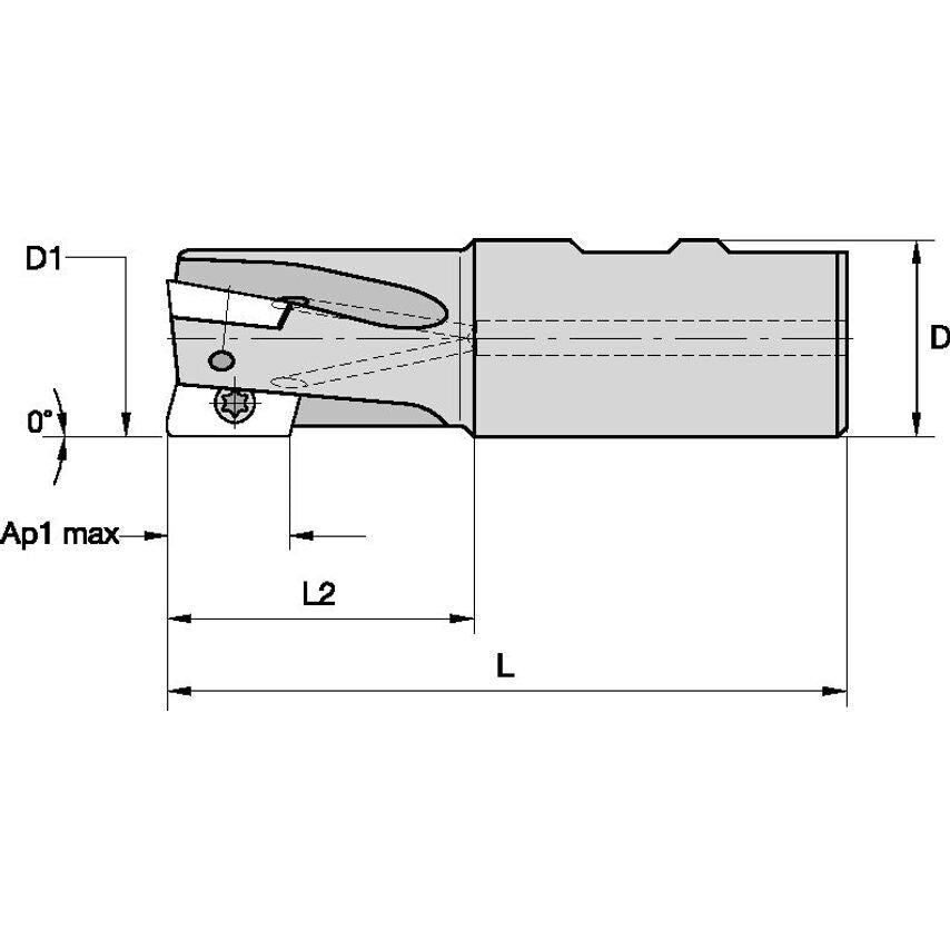 M1D100E1402W100L175 Indexable Toolholder MILL1-14D=1
