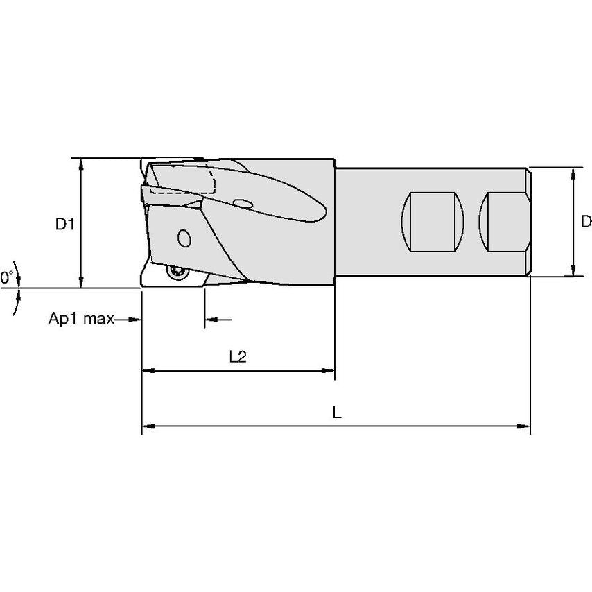 M1D125E1404W100L225 Indexable Toolholder MILL1-14D
