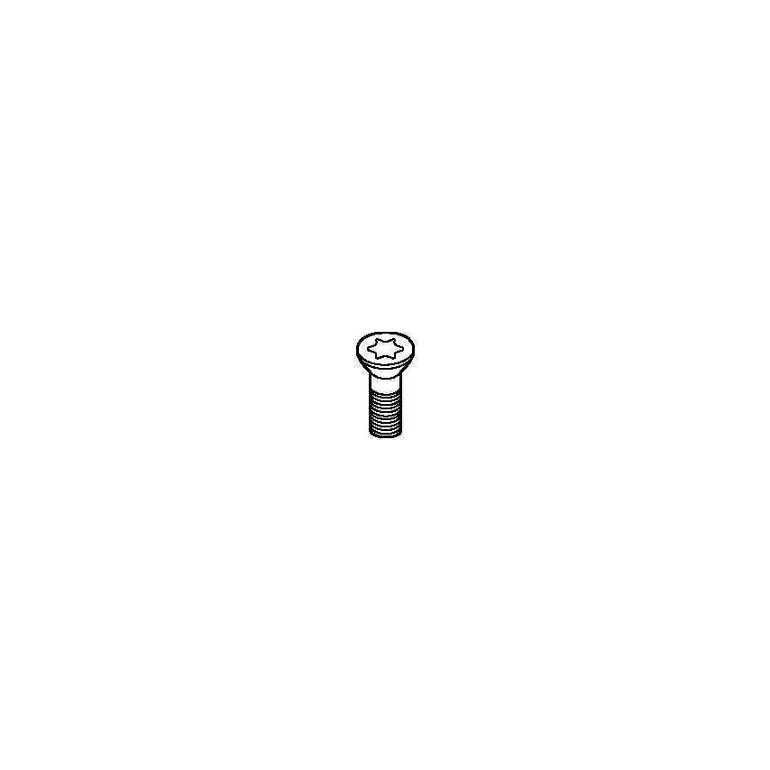 MS1941PKG Screw For FP Mill (10/PKG) M4