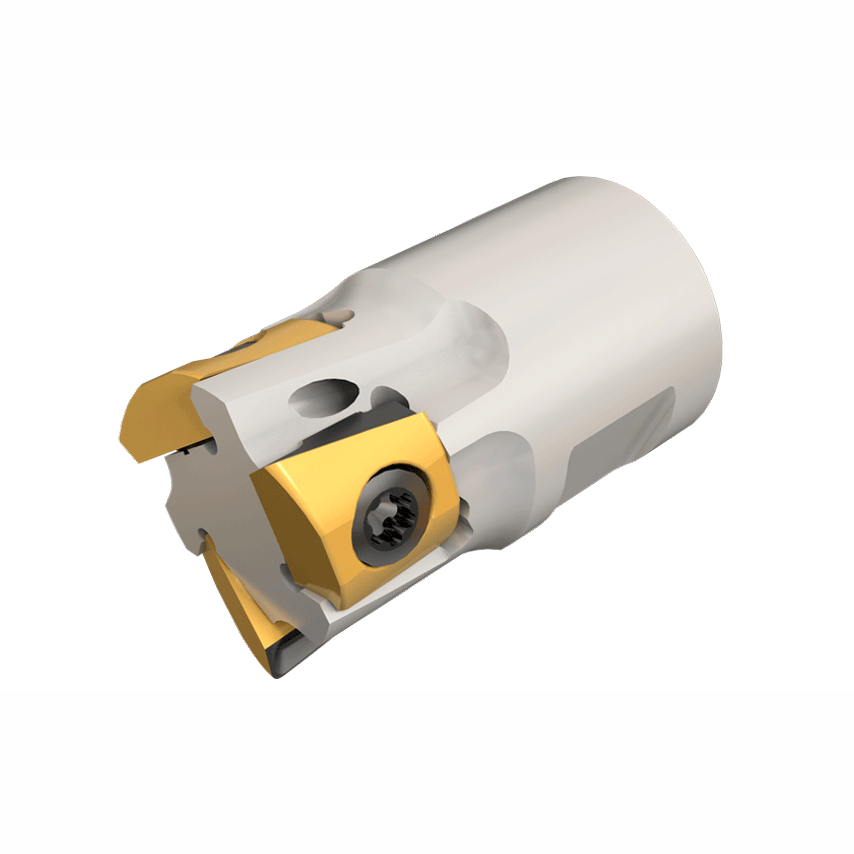 Mill Premium Tools TS T290 ELN D16-04-T10-05 - Pack of 1