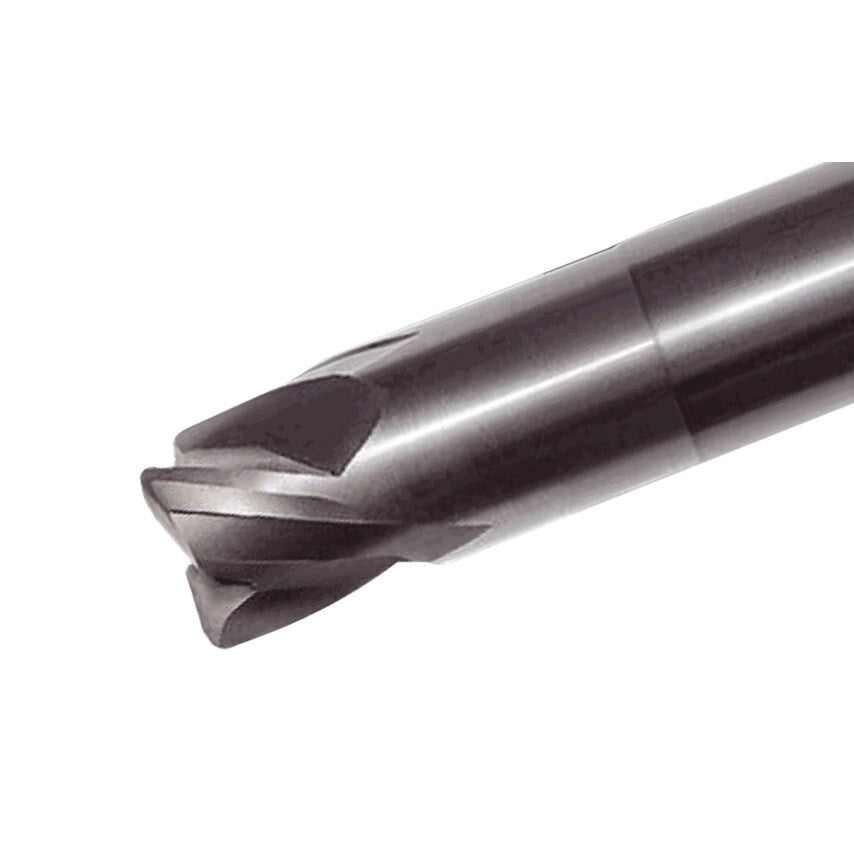 Multimaster Inserts EC-E3 08-08/20C08R.5N57CE - Pack of 1