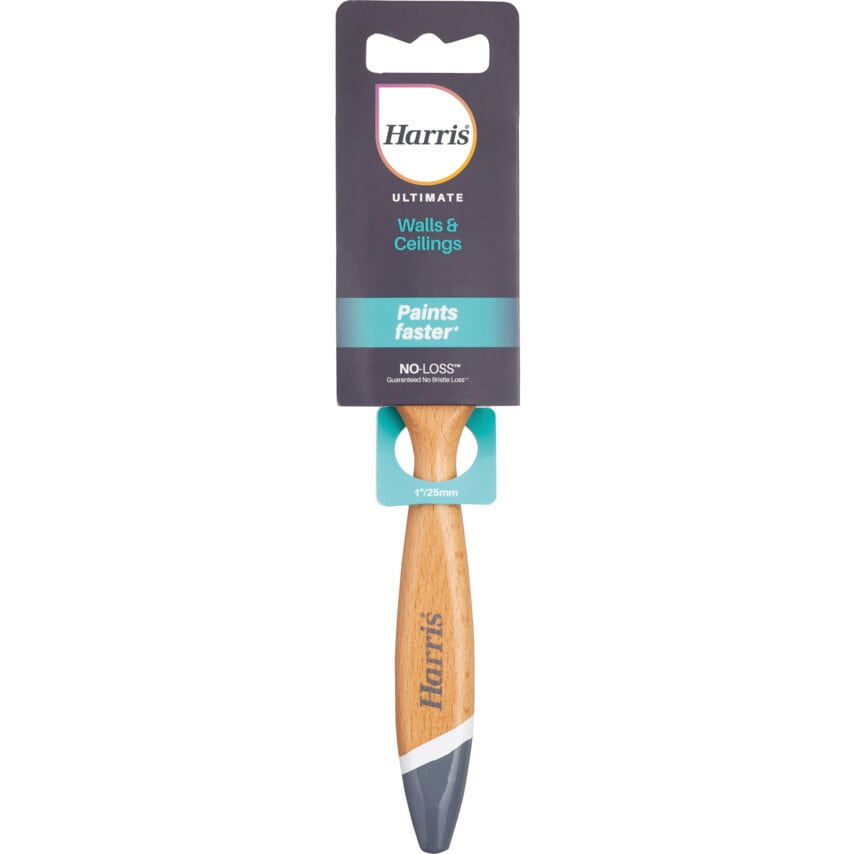 Paint Brush, Flat, 25mm, for Walls & Ceilings