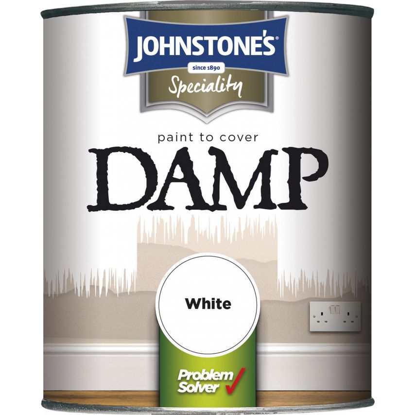 Paint to Cover Damp 750ml White