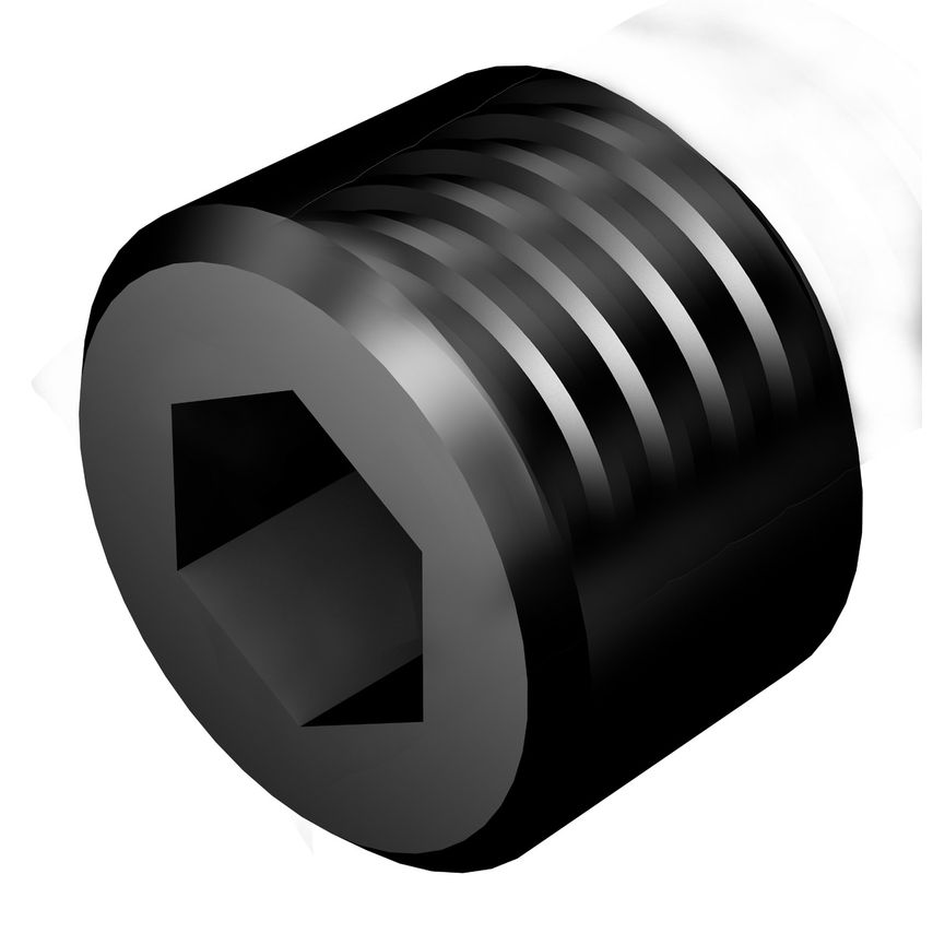 Plug and Cover 5643045-01