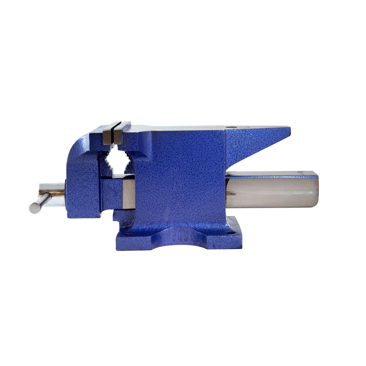 Professional Anvil & Vice - 6in