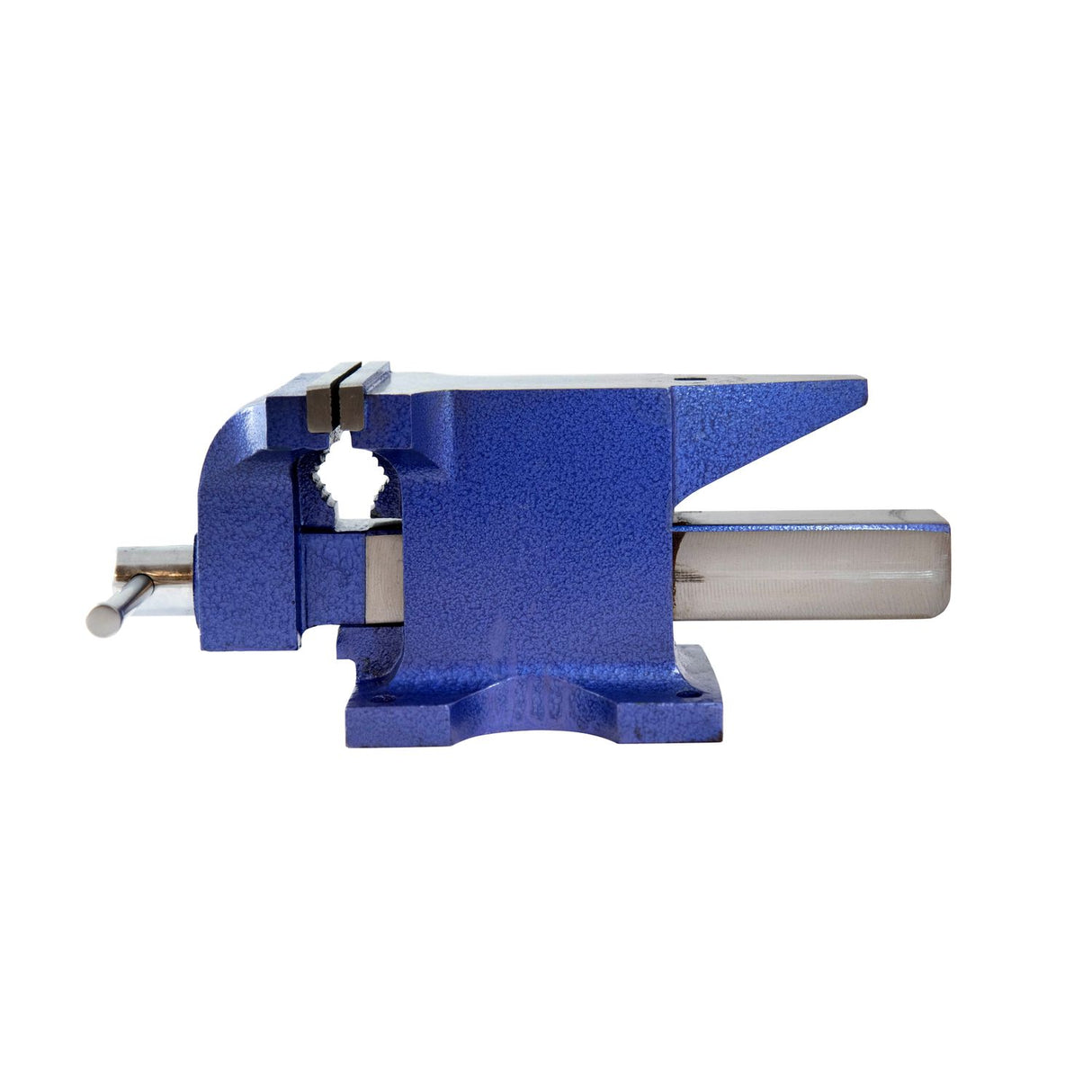 Professional Anvil & Vice - 6in