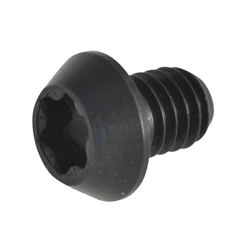 RT/3.5 TORX Replacement Screws TRERT35
