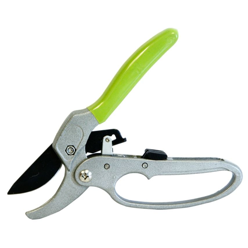 Ratchet Action Anvil Secateurs