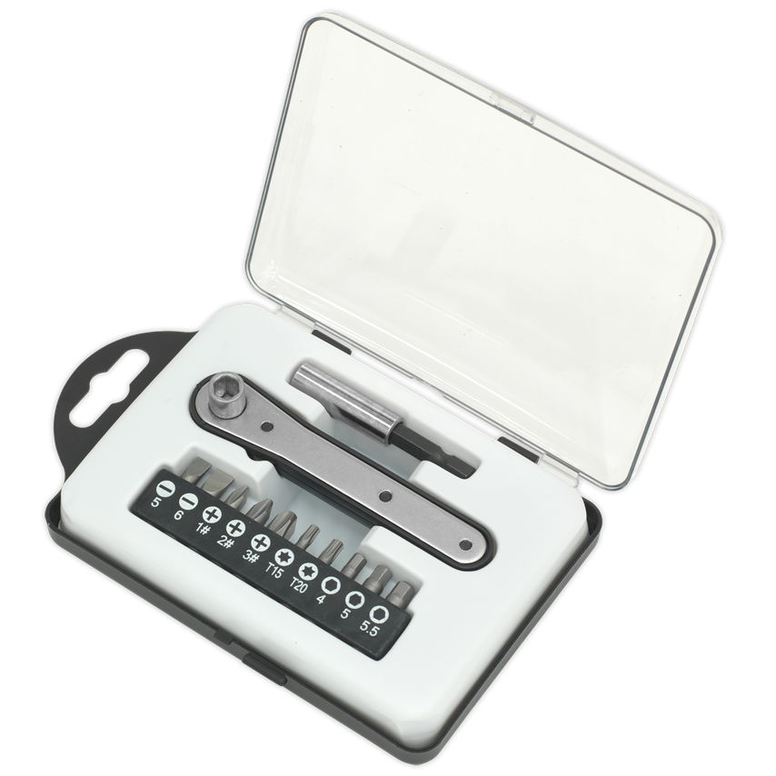 Ratchet Driver Bit Set 12 Piece