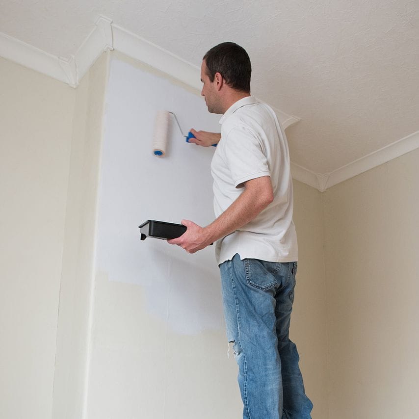 Roller & Tray Set 230mm