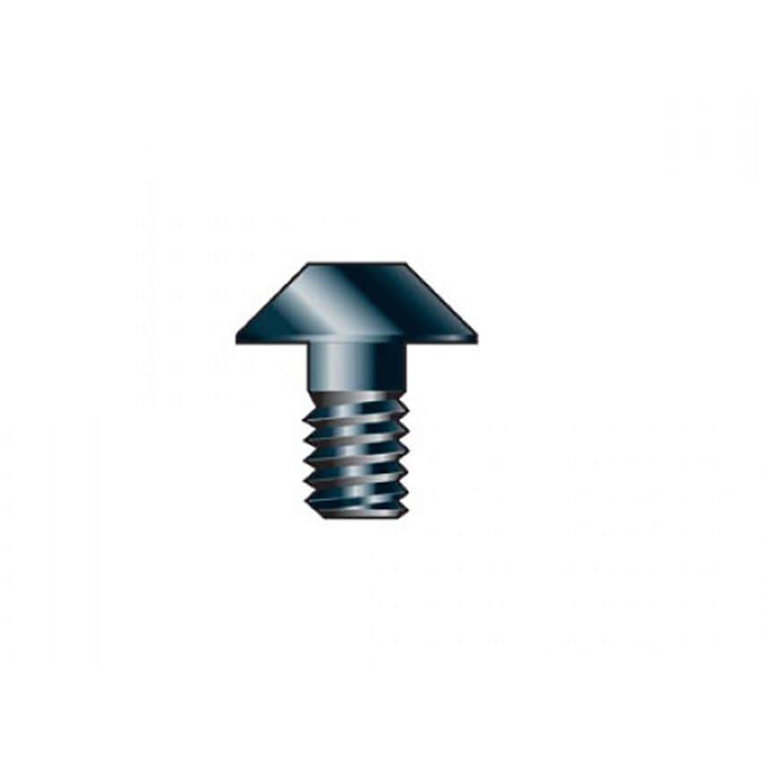 SP-46/02D Replacement TORX Screw