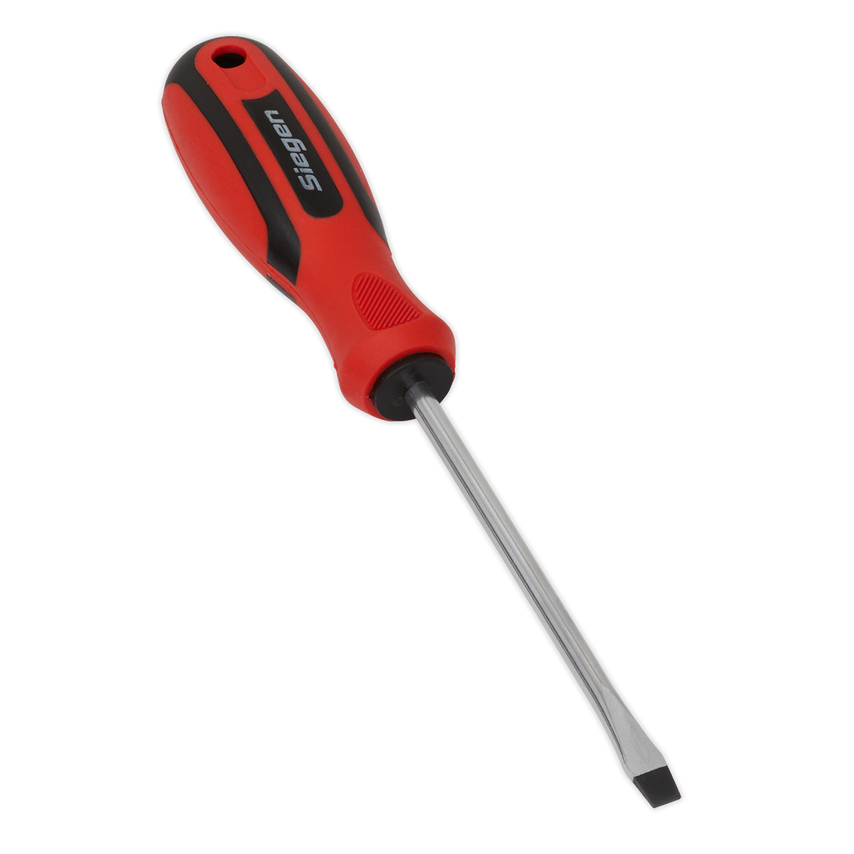 Screwdriver Slotted 5 x 100mm