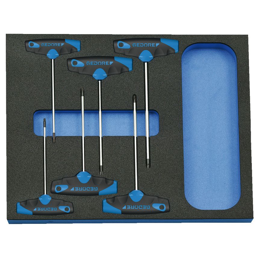 Screwdriver set in CT module 6 pcs