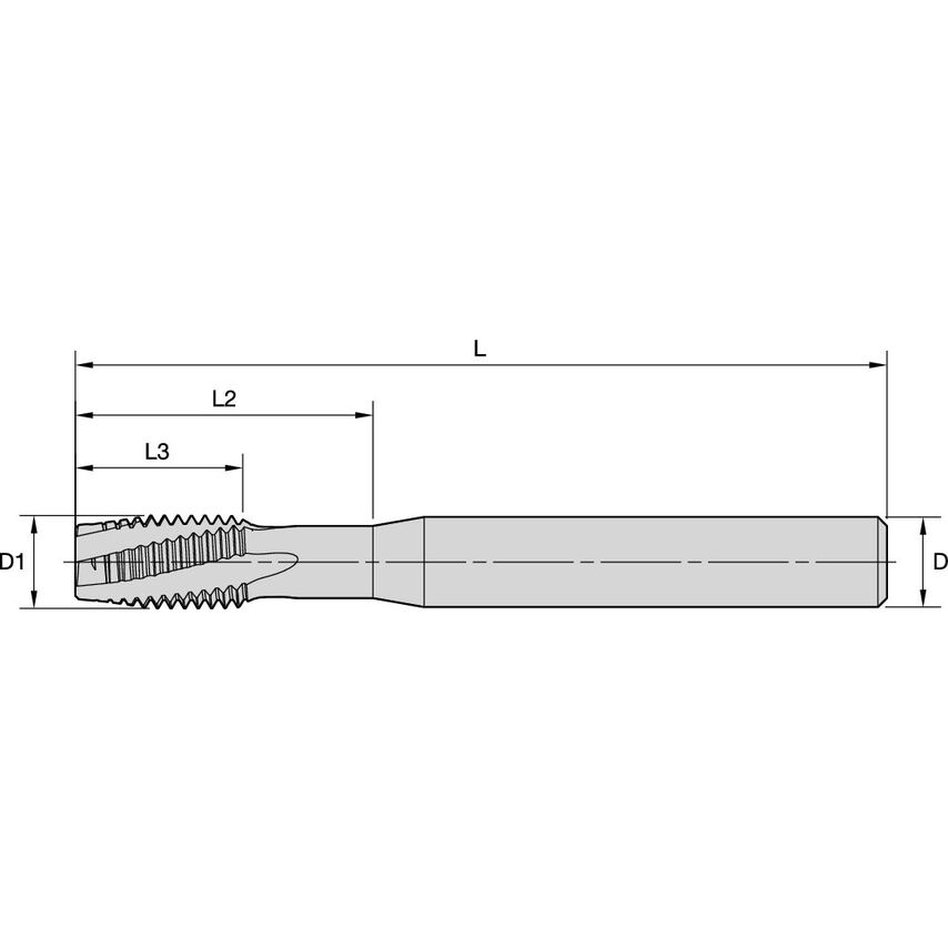 T320M060X100R6HX M6X1 6HX 3F LHSF PLG Carb
