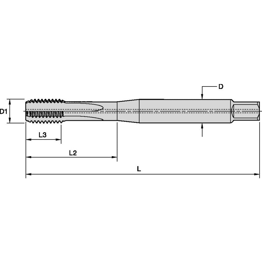T351M100X150R6HX-D1 M10X1.5 6HX STFL Bott E 371 CH
