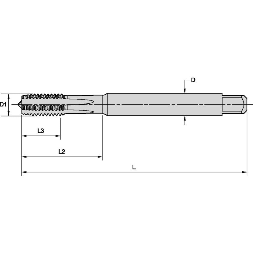 T410M060X100R6HX-D1 M6X1 6HX STFL Plug 371 Carbide