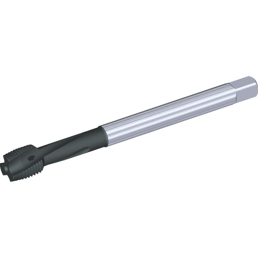 T621M160X200R6HX-D6 M16X2 6HX LHSF D 376 CH Hss-e-