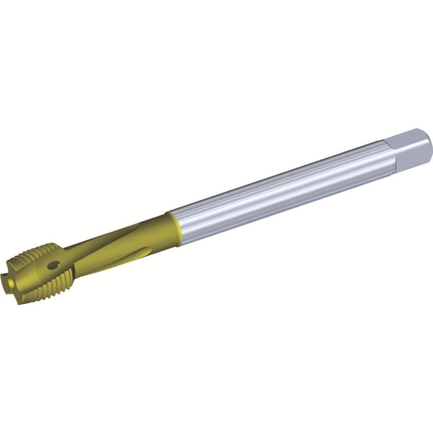 T621MF100X100R6HX-D4 M10X1 6HX 3F LHSF D 374 CH Hss