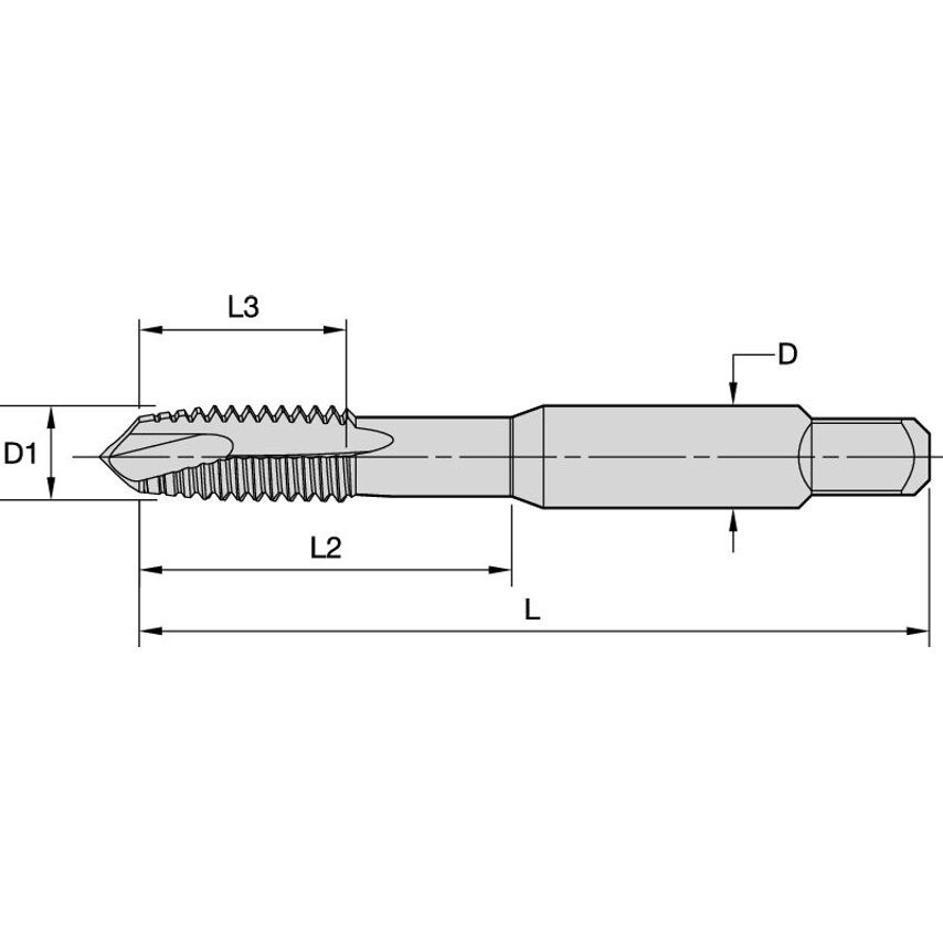 T820M100X150RD6-A M10X1, 5 D6 3F SP Plug HSS-E Ox