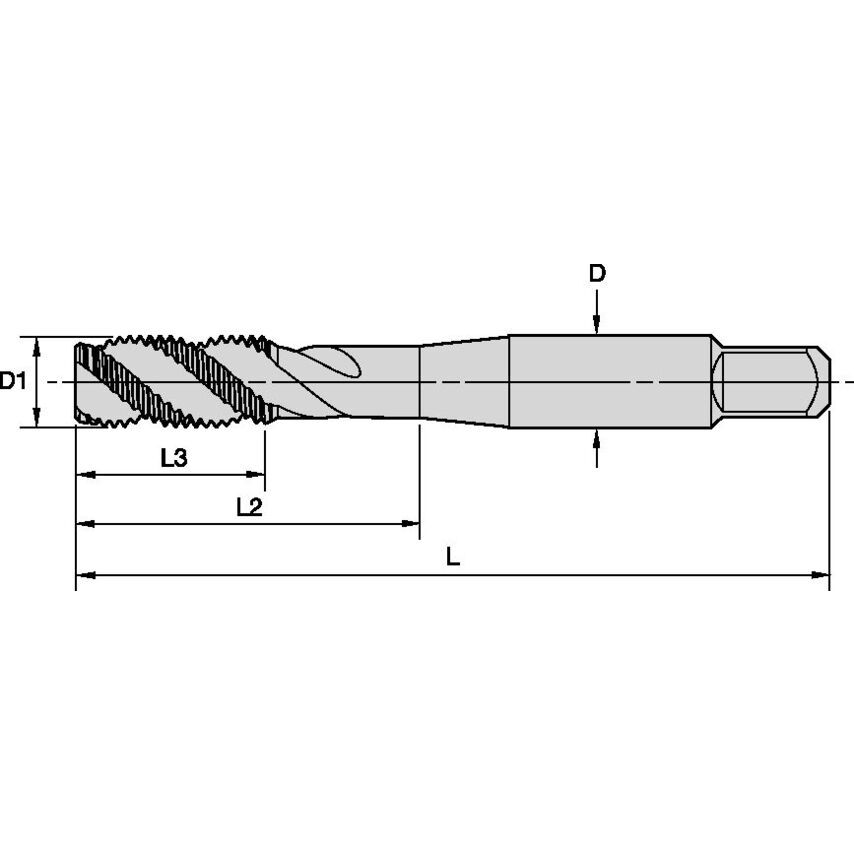 T838M100X150RD6-A M10X1, 5 D6 3F RHSF SBOT HSS-E