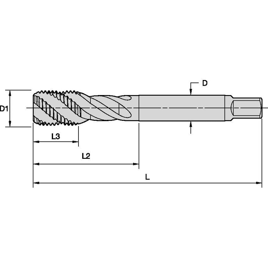 T857G05000-14R-D56 1/2-14 G ISO 228 4F RHSF C DIN