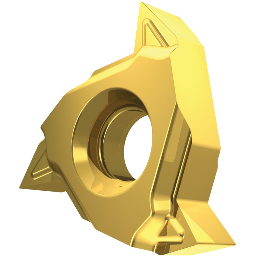 TN 16NRAG60-P1 T8030 Thread Insert Partial Profile