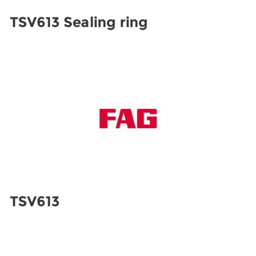 TSV613 Sealing Ring - TSV613 FAG