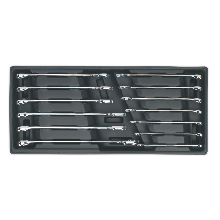 Tool Tray with Combination Spanner Set13 Piece Metric