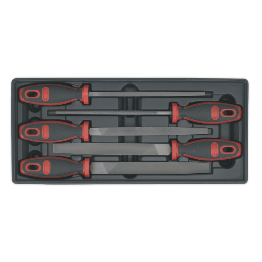 Tool Tray with Engineer s File Set 5PC