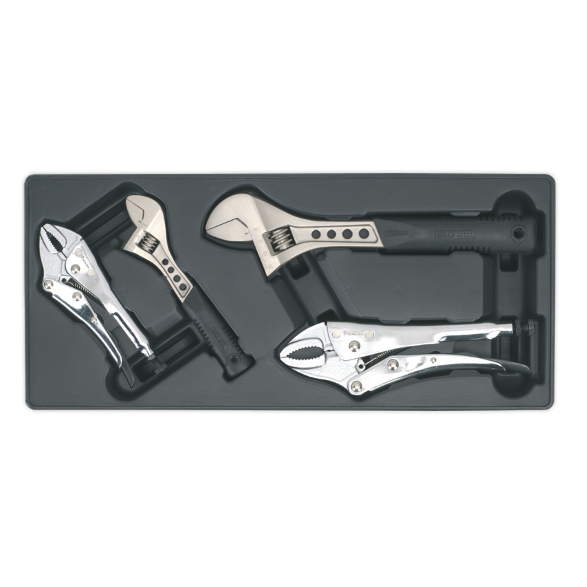 Tool Tray with Locking Pliers & Adjustable Wrench Set 4 Piece