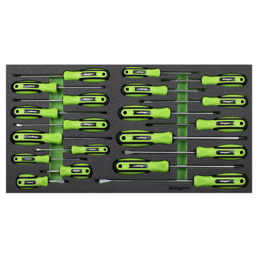 Tool Tray with Screwdriver Set - 20 Piece