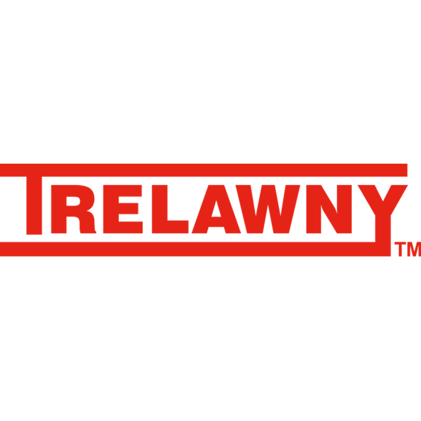 Trelawny Planer with TCT Cutters (110V Electric)