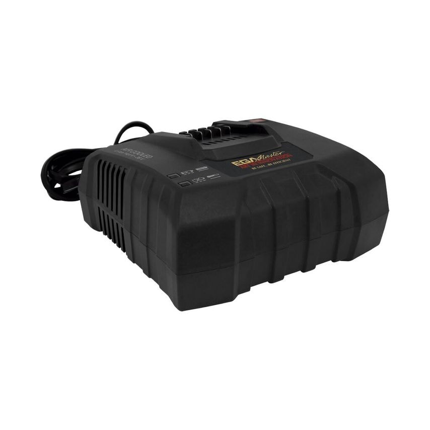 UK Standard and Fast Charger