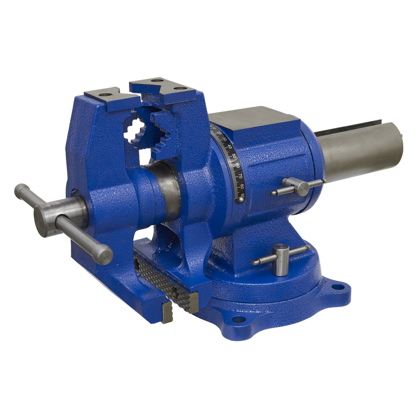 Vice Cast Iron Multi-function Swivel Base 150mm