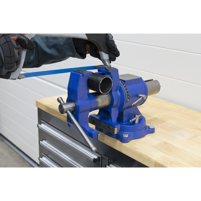 Vice Cast Iron Multi-function Swivel Base 150mm