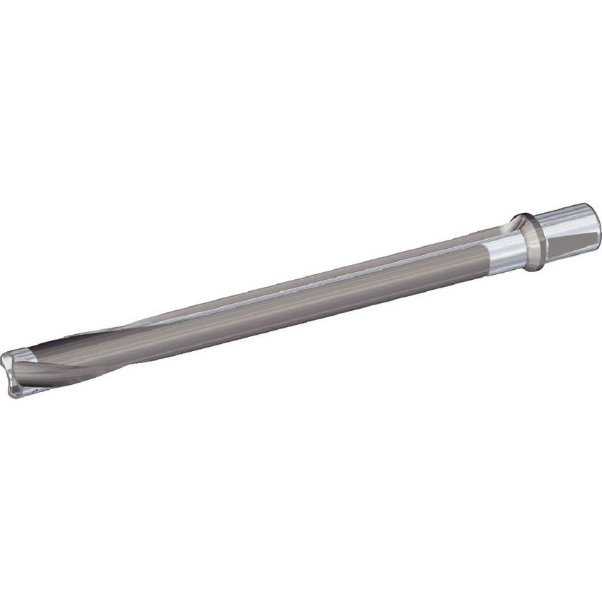 WD50FDS40491M Kplus Shank 10 x D NG=40mm