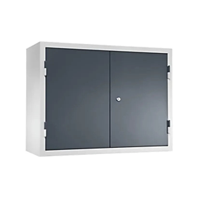 Wall Mounted Cupboard For The Workshop - HxWxD 600 X 800 X 320mm - Solid Panel Doors, Basalt Grey RAL 7012