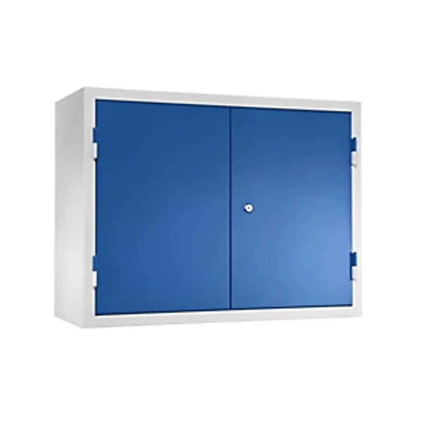 Wall Mounted Cupboard For The Workshop - HxWxD 600 X 800 X 320mm - Solid Panel Doors, Gentian Blue RAL 5010