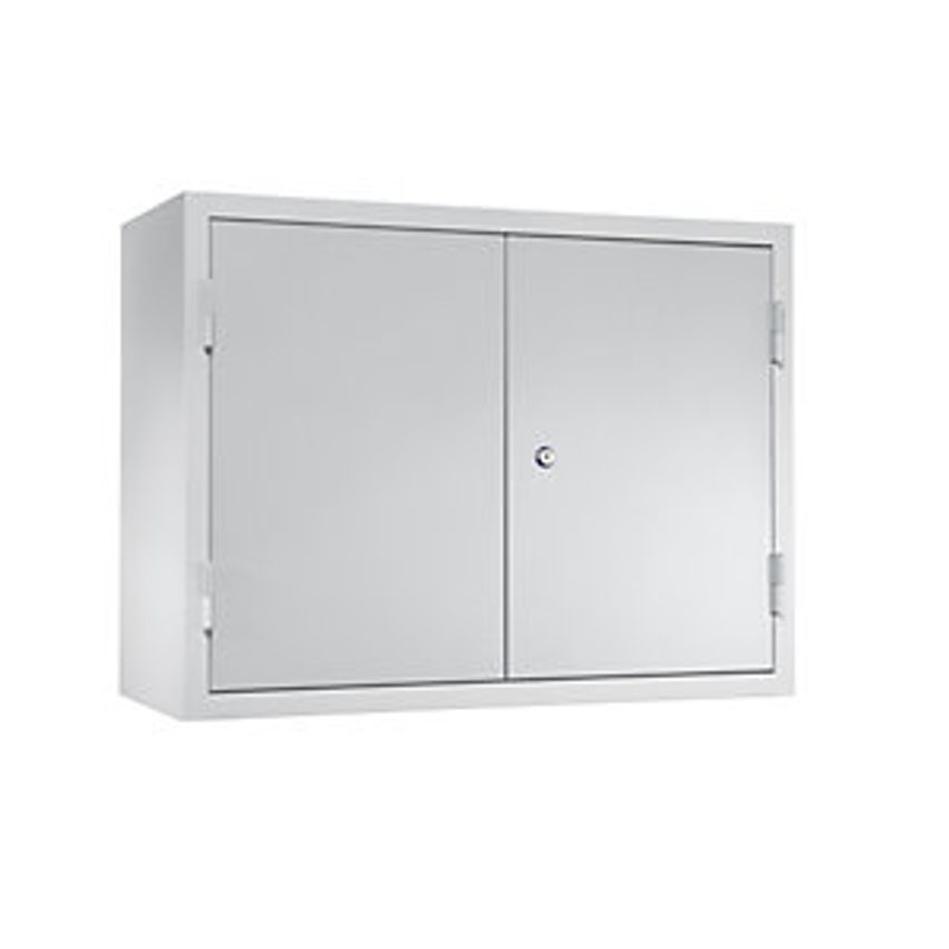 Wall Mounted Cupboard For The Workshop - HxWxD 600 X 800 X 320mm - Solid Panel Doors, Light Grey RAL 7035