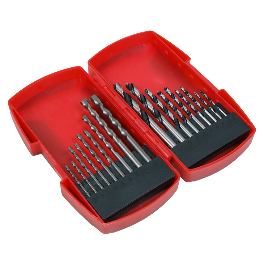 Wood/Masonry Drill Bit Set 18 Piece